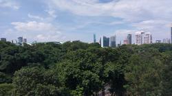Rich Mansion (D10), Condominium #152576102